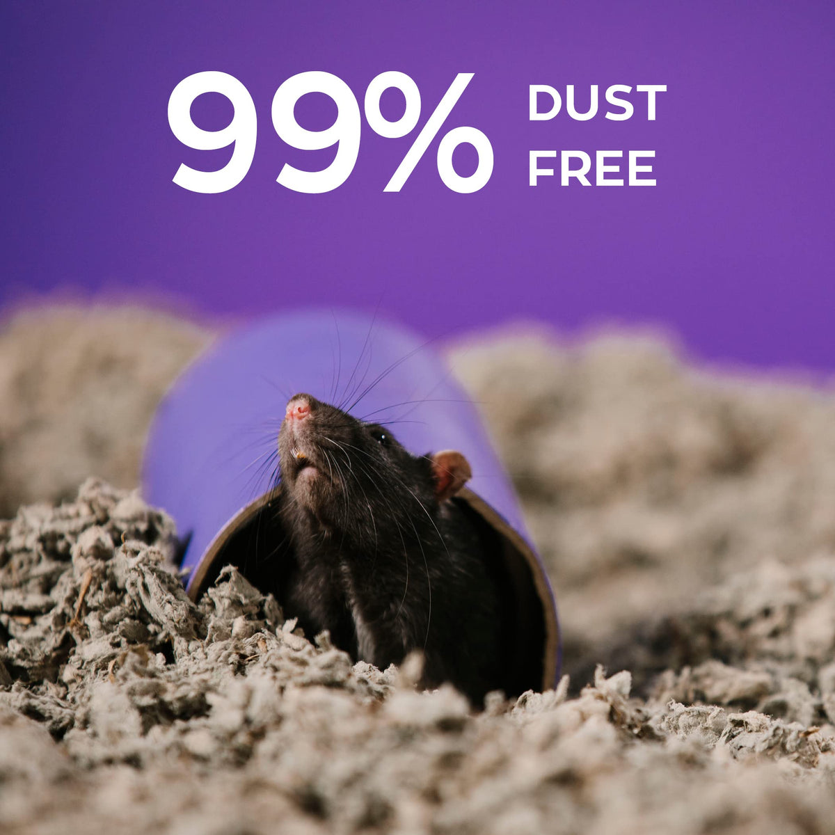 Carefresh 99% Dust-Free White Natural Paper Small Pet Bedding with Odor Control, 10L, White