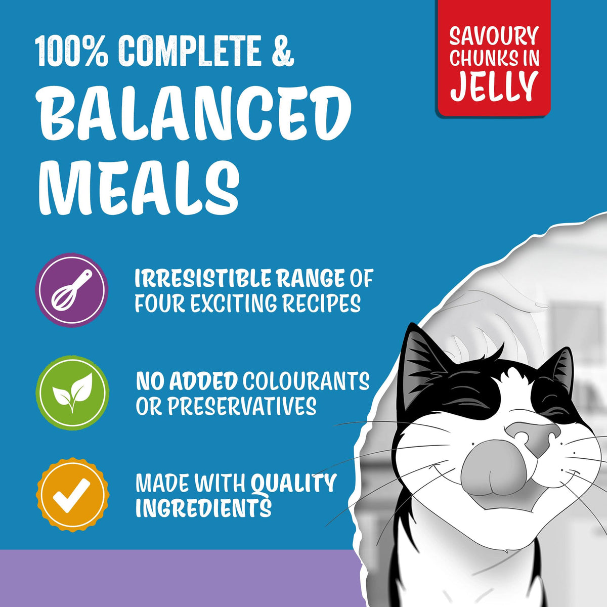 FELIX Original Mixed Selection in Jelly Wet Cat Food 40x85g