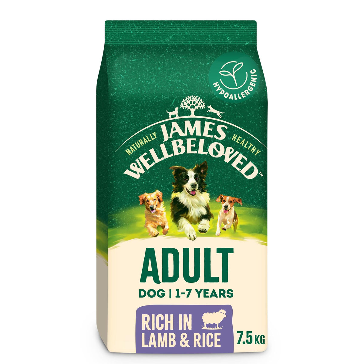 James Wellbeloved Dog Adult Hypoallergenic Dry Food Turkey and Rice 2 kg