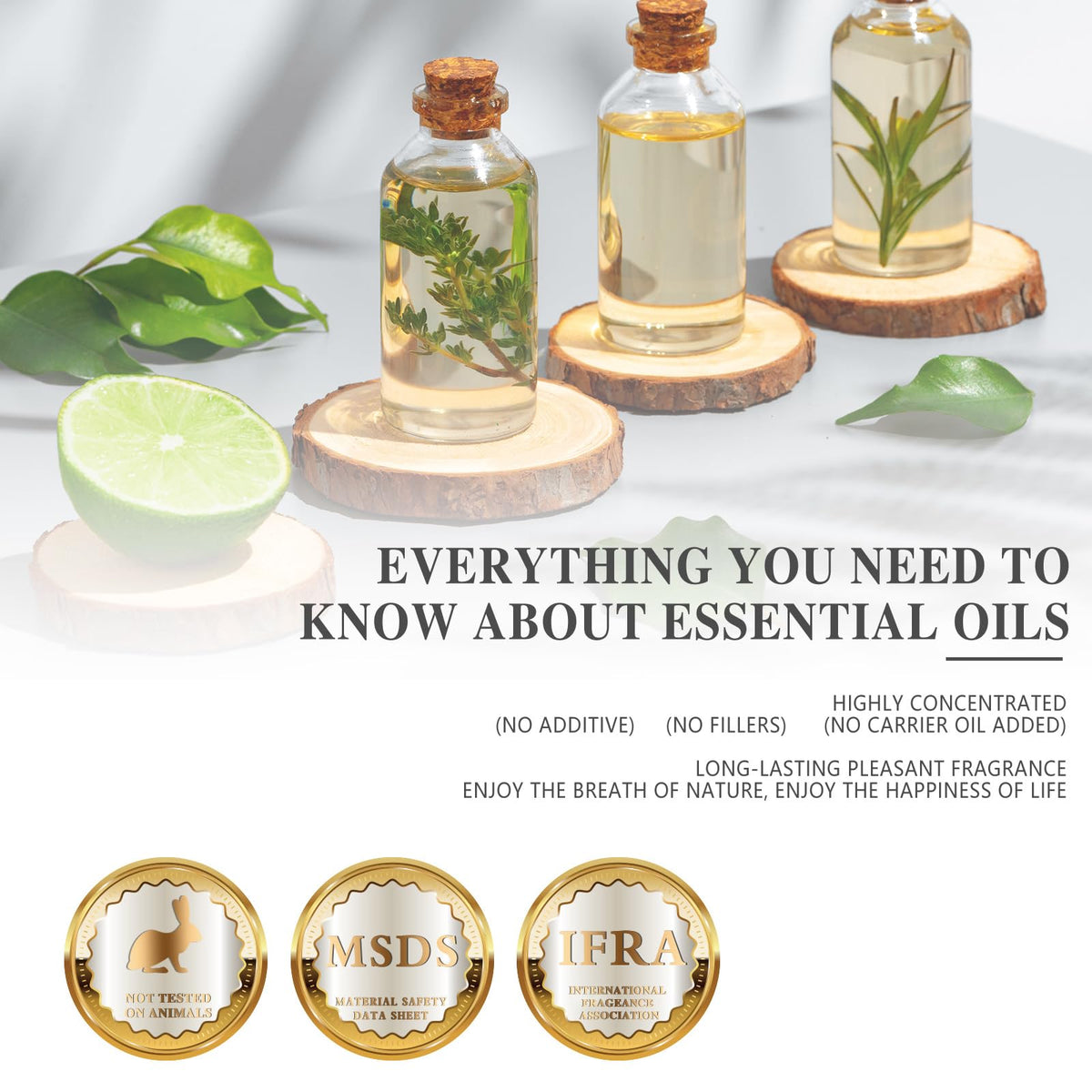 MAYJAM Peppermint Essential Oil 100ML - Premium Diffuser Oil