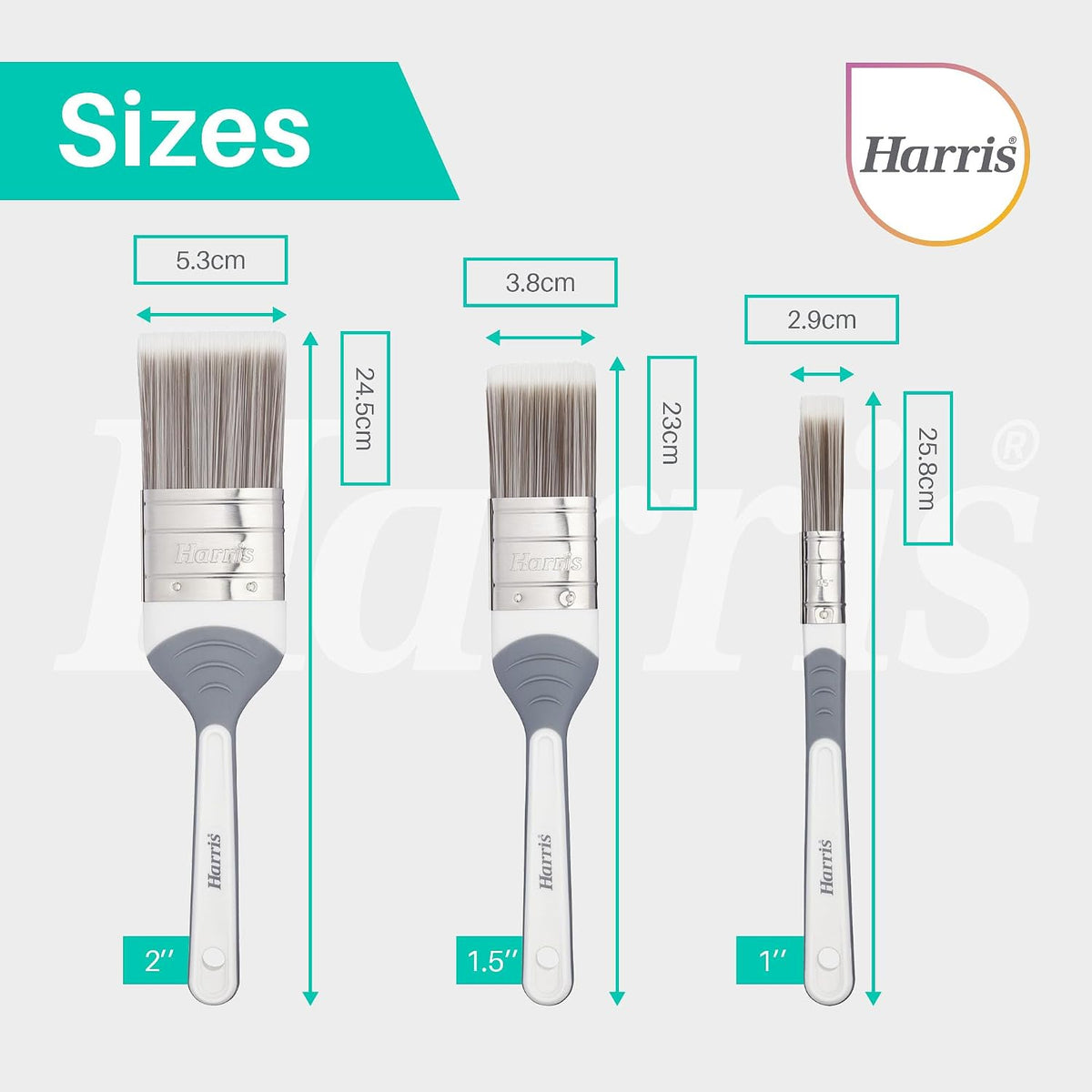 Harris Seriously Good Paintbrush Set, 5 Brush Pack, 1 x 0.5, 1 x 1, 1 x 1.5, 2 x 2 Paint Brushes