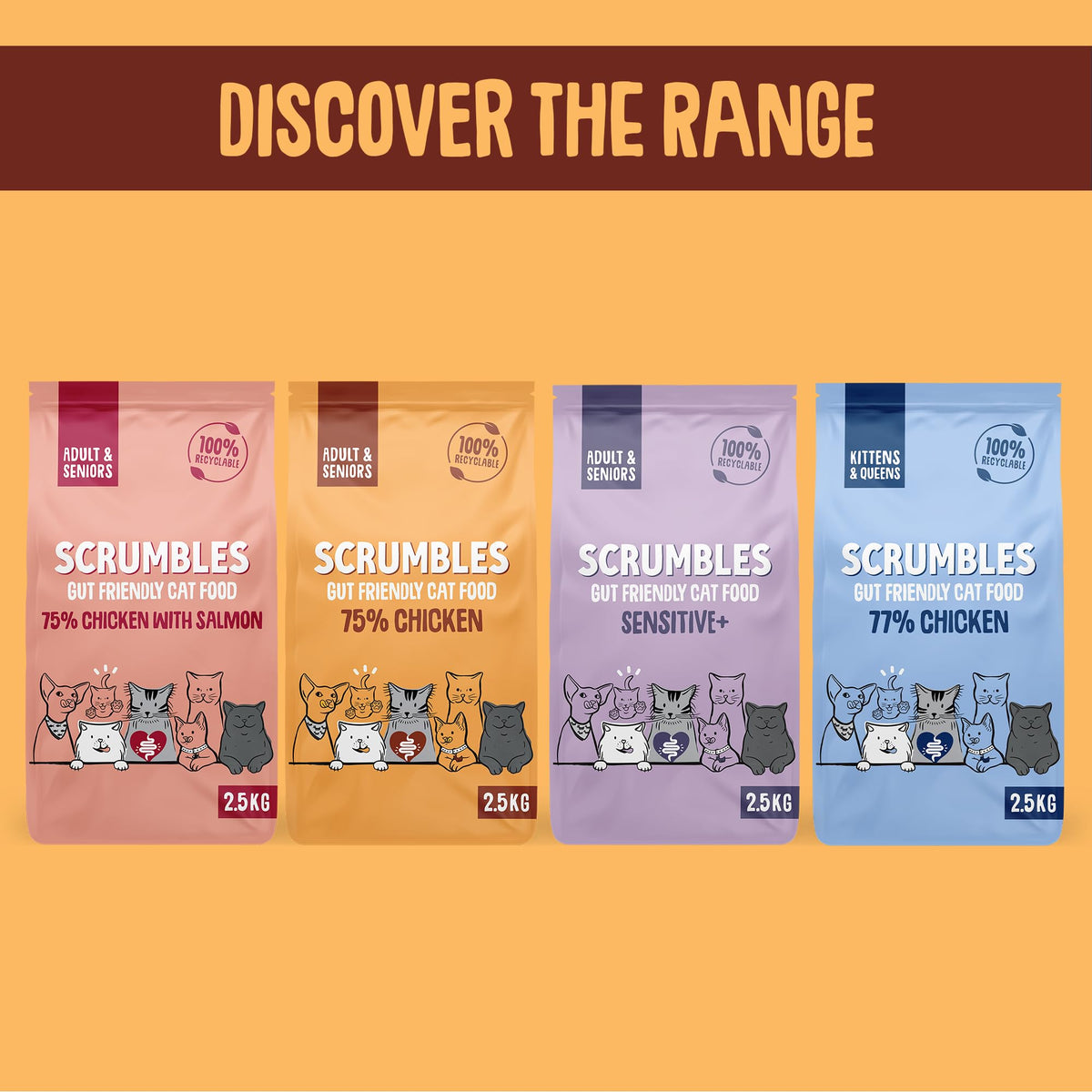 Scrumbles All Natural Dry Cat Food With Chicken and Fresh Salmon, High Protein Food for Adults And Seniors, 2.5 Kg,pink bag