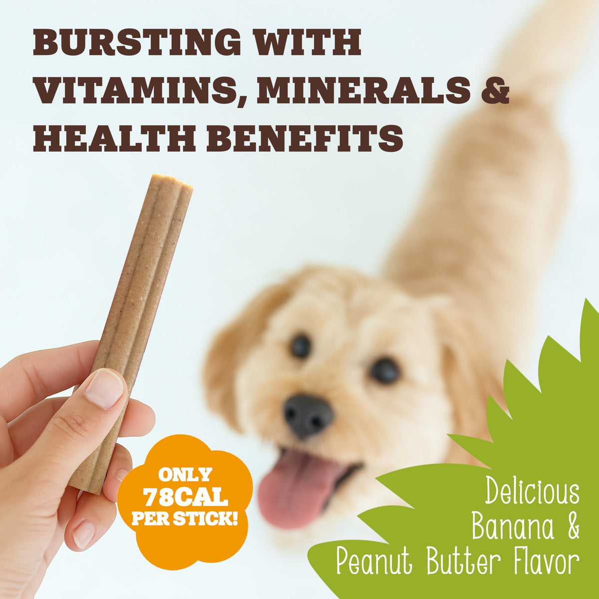Soopa Carrot & Pumpkin Dog Dental Sticks, Chews to Clean Teeth, 100 g, 1-Pk