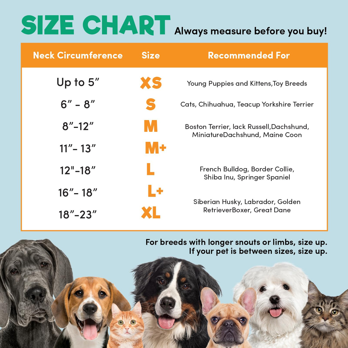 BENCMATE Protective Inflatable Collar for Dogs and Cats - Soft Pet Dog Cone Recovery Collar Does Not Block Vision E-Collar Blue-L