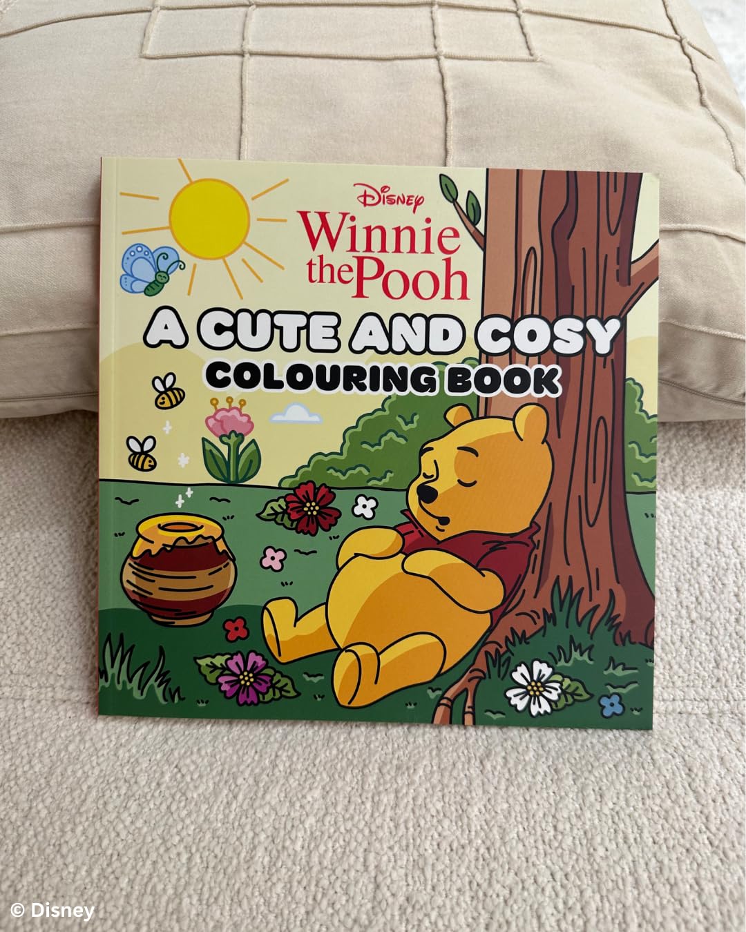 Disney Winnie the Pooh: A Cute and Cosy Colouring Book