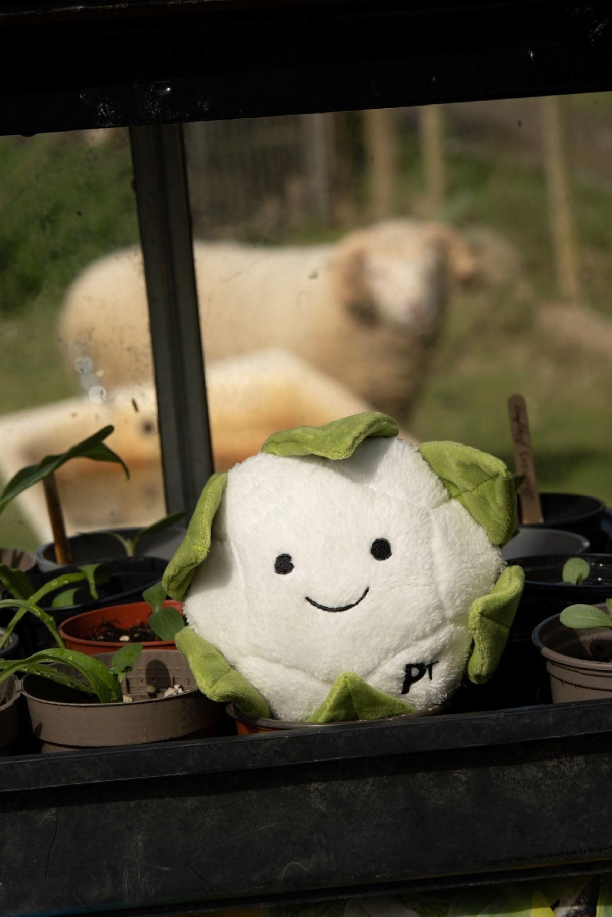 Petface Foodie Faces Fluffy Carrot Dog Toy
