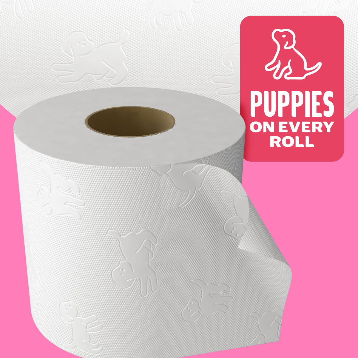 Andrex Family Soft Toilet Roll - 24 Toilet Rolls, Bulk Buy, Fragrance Free, FSC Certified