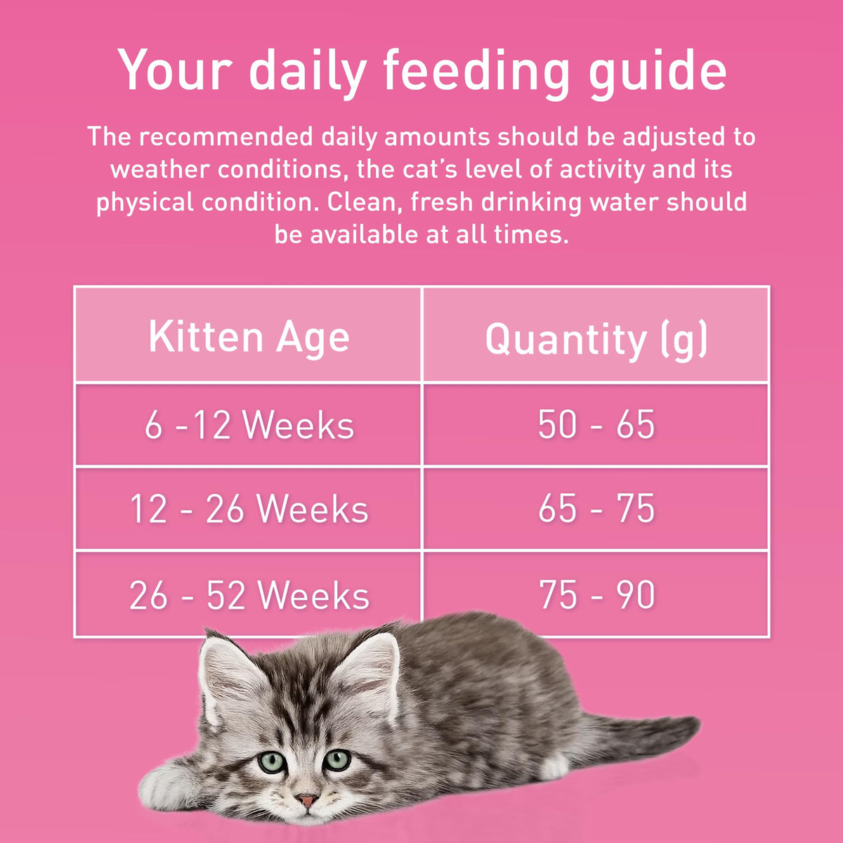 PURINA ONE BIFENSIS Dry Food for Adult Cats, Rich in Chicken, 1 Pack (1 x 5.7 kg)