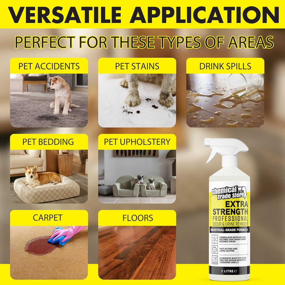 Enzyme Odour & Urine Remover 2.5L - Professional Pet Stain & Smell Eliminator - Safe for Carpets, Upholstery & Hard Floors