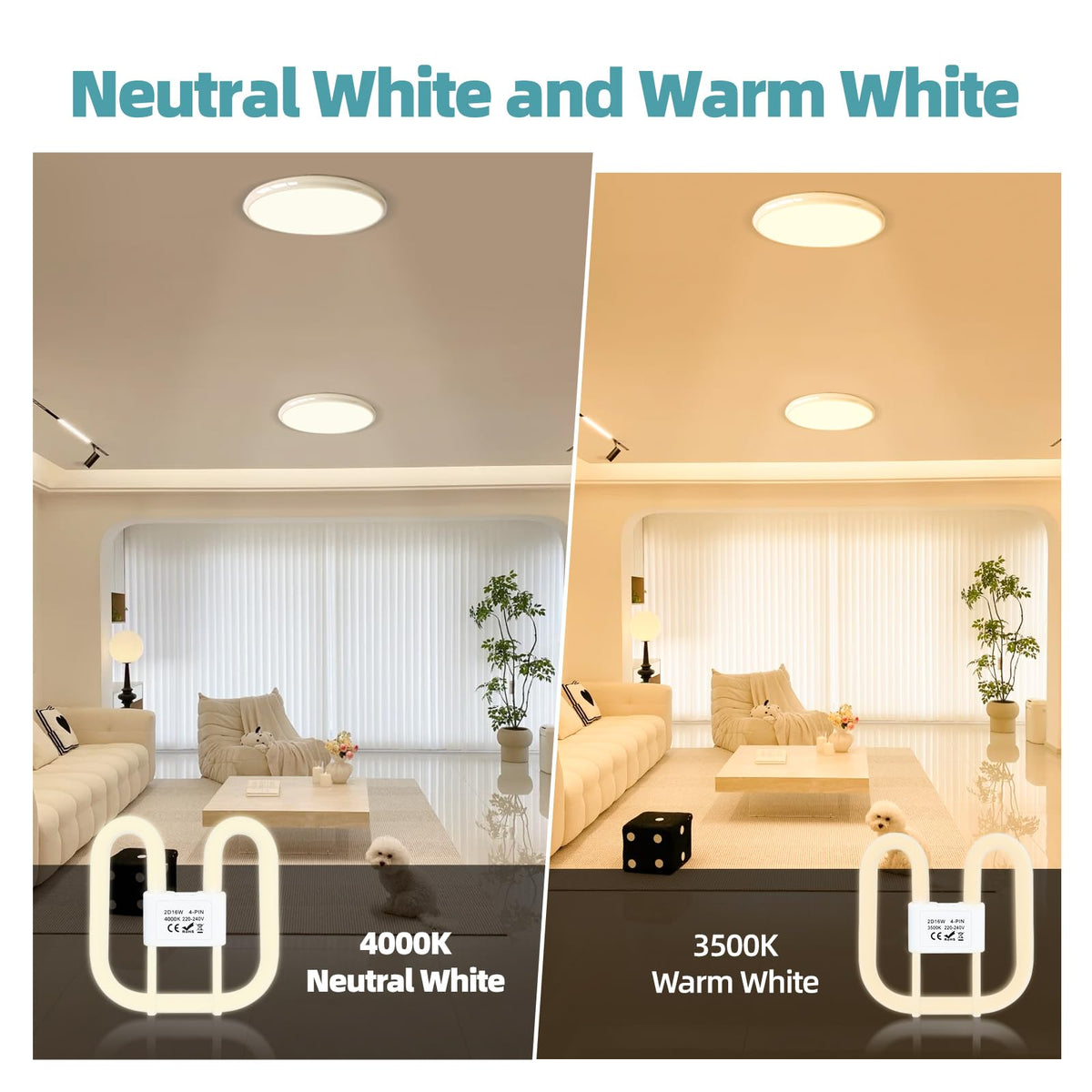 4-PIN 16W(Size: 13.3cm*13.3cm) GR10Q Compact Fluorescent Lamp Non-Dimmable Warm White 3500K, 4PIN (Not 2Pin) Recessed Ceiling Light, CFL Light Bulb, Low Energy Light Bulb, Suitable for Indoor Corrido