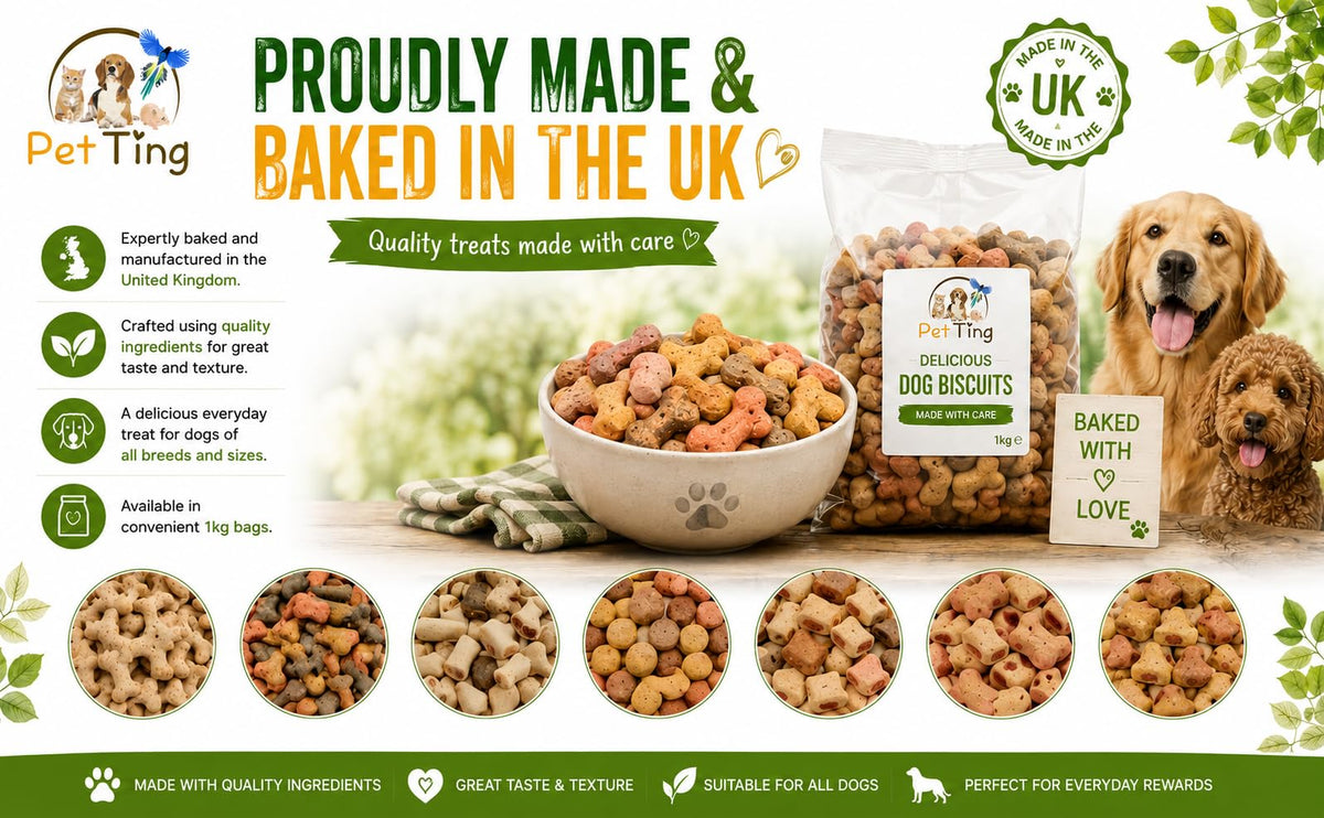 Premium Dog Biscuits Treats 1kg (Charcoal Cobs)