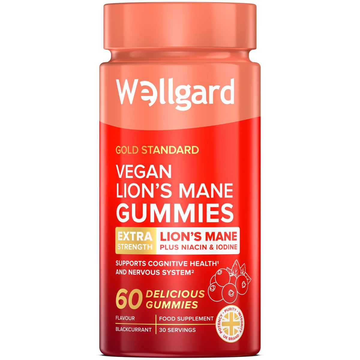 Wellgard Kids Calcium & D3 Gummies - 2 Month Supply - Vegan Chewable Calcium and Vitamin D3 Gummies, Mixed Berry Flavour