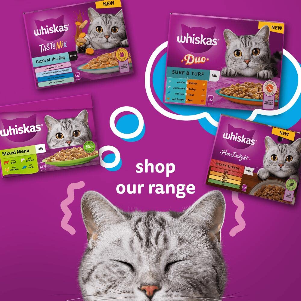 WHISKAS Adult Wet Cat Food in Jelly 40x85g Fish Favourites