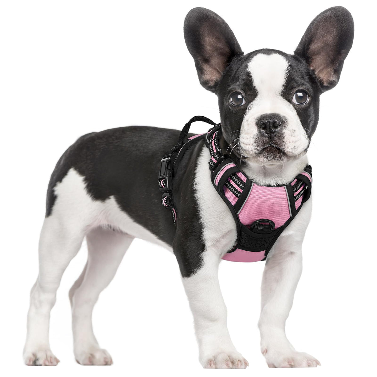 rabbitgoo Dog Harness Large Dog, No Pull Vest with Front Clip & Handle