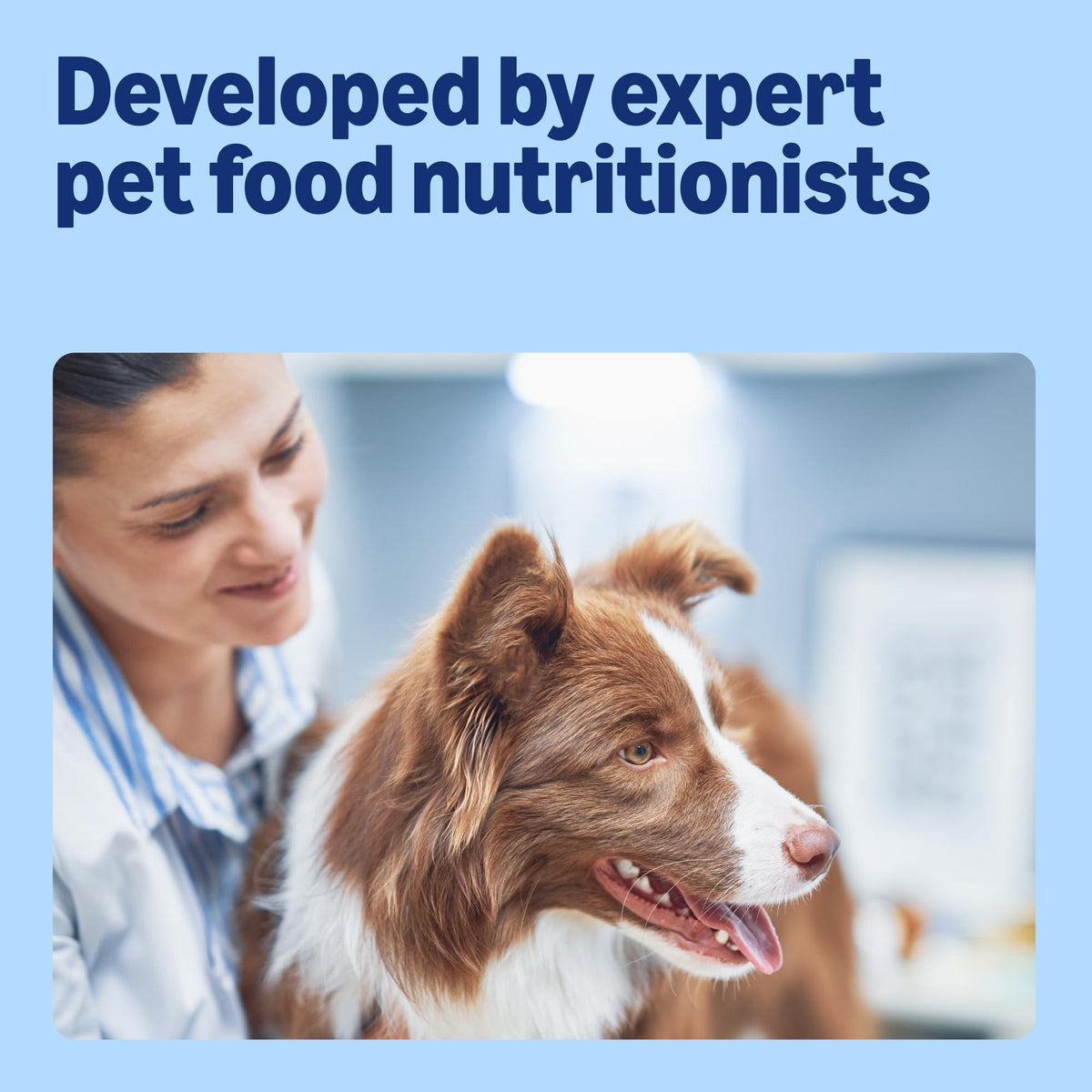by Amazon Complete Wet Food for Adult Dogs, Meat Selection in Gravy, 4.8 kg (48 pouches of 100g)