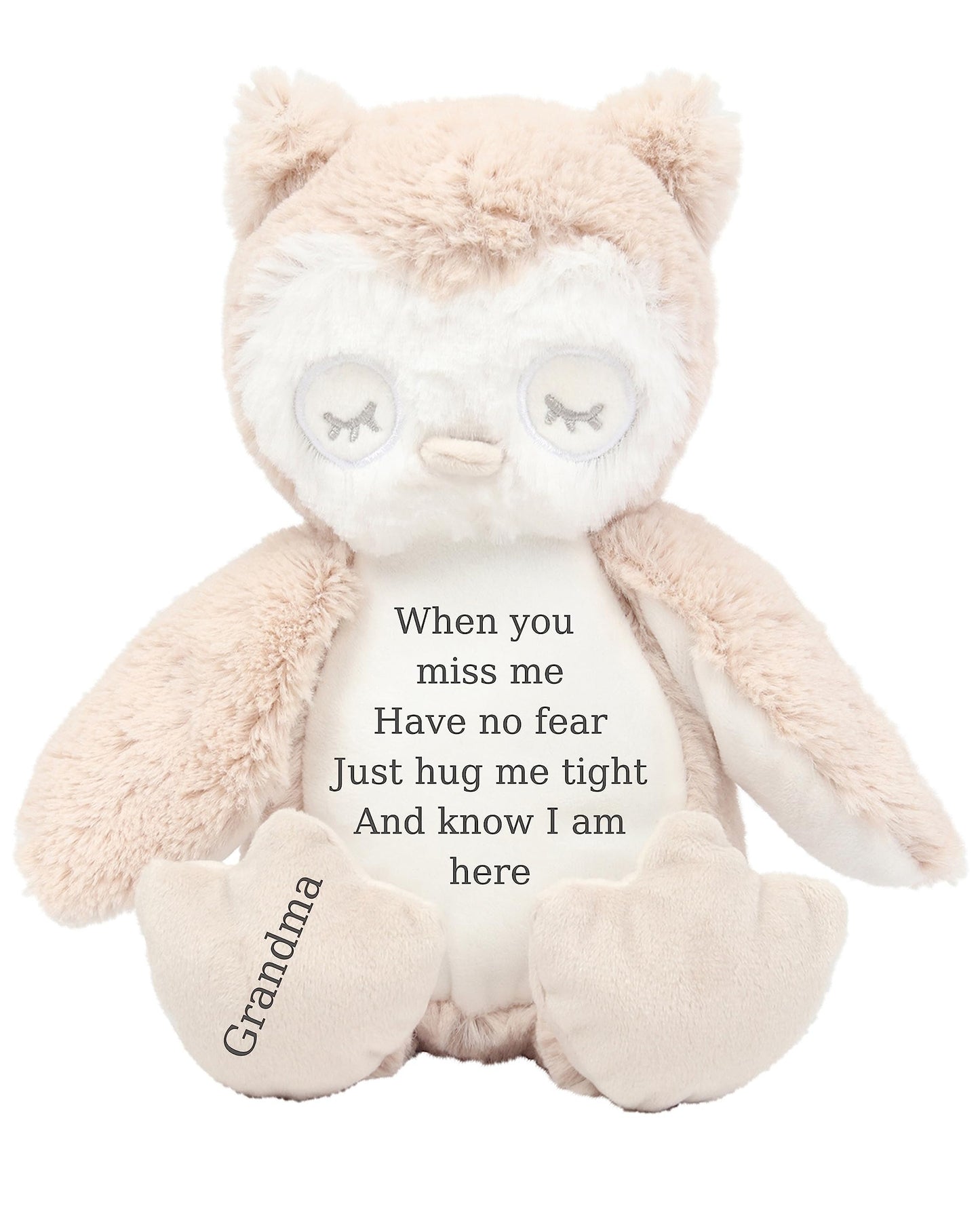 HotScamp Personalised Memorial Bear In Loving Memory When you Miss me - Cuddly Toy Soft Toy Comforter Grieving Special keepsake from a loved one - Brown Teddy