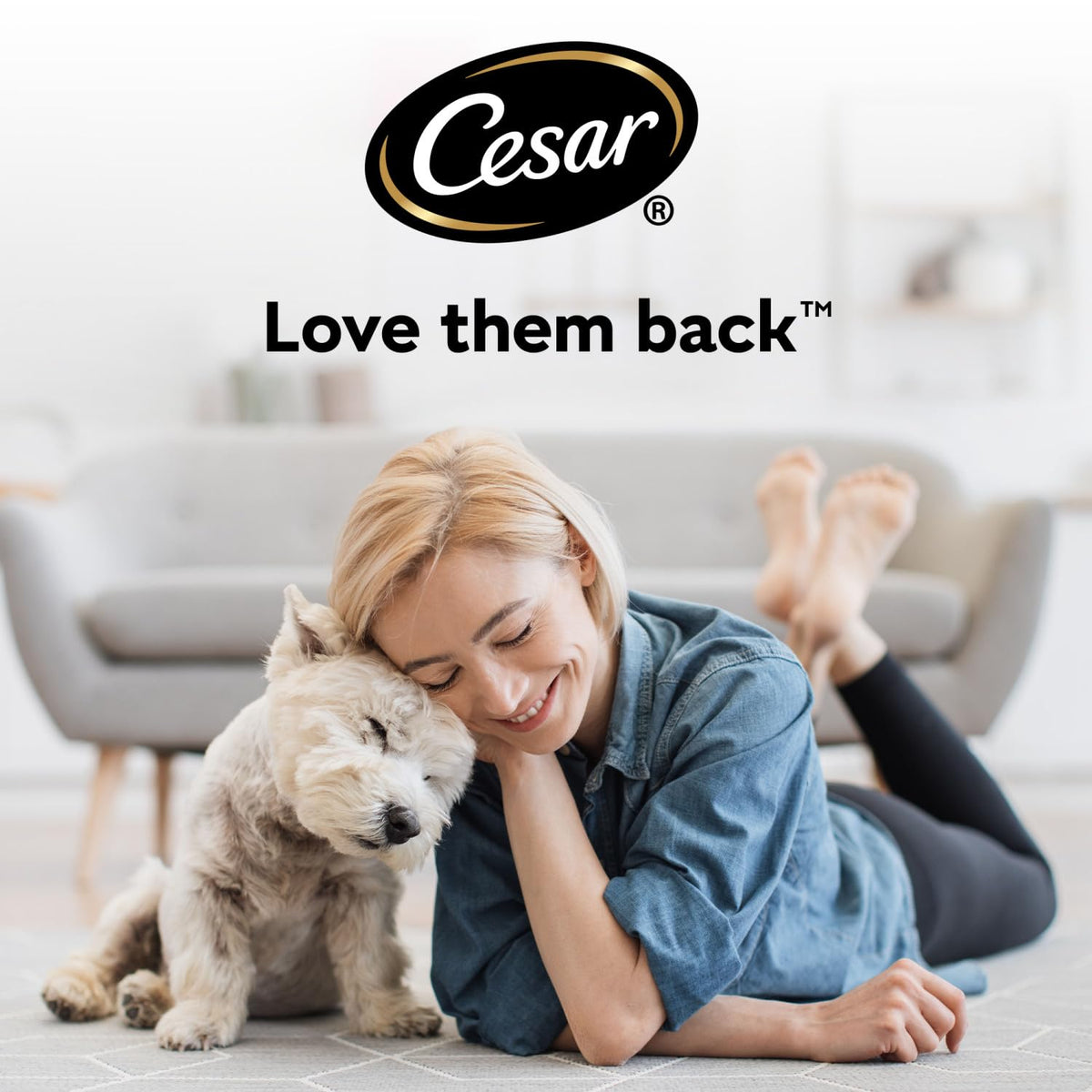 CESAR Pouch Selection in Jelly, Fresh Adult Wet Dog Food Pouches in Delicious Jelly with Succulent Meats and Vegetables, 48 x 100 g