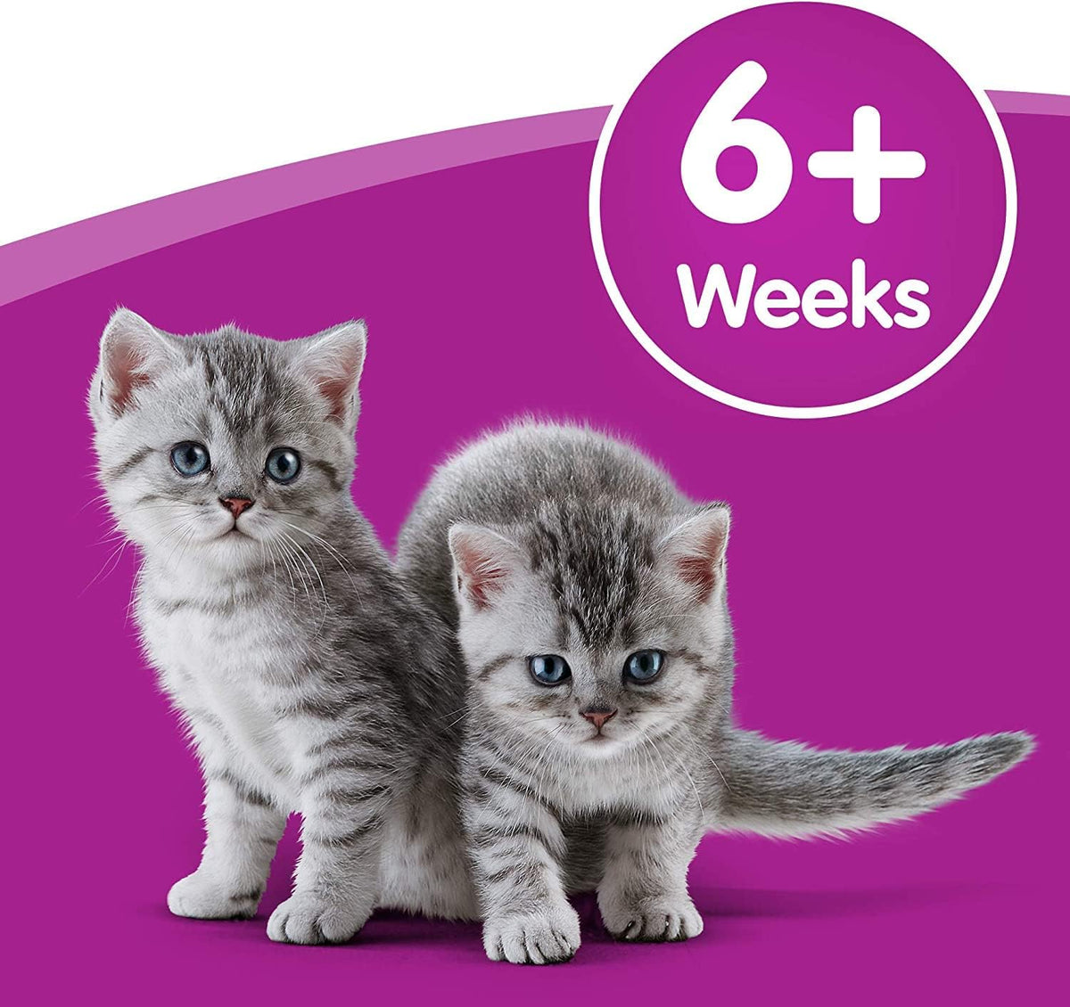 Whiskas Cat Milk 15 x 200 ml bottles, Complementary Cat Food for Kittens over aged 6 weeks