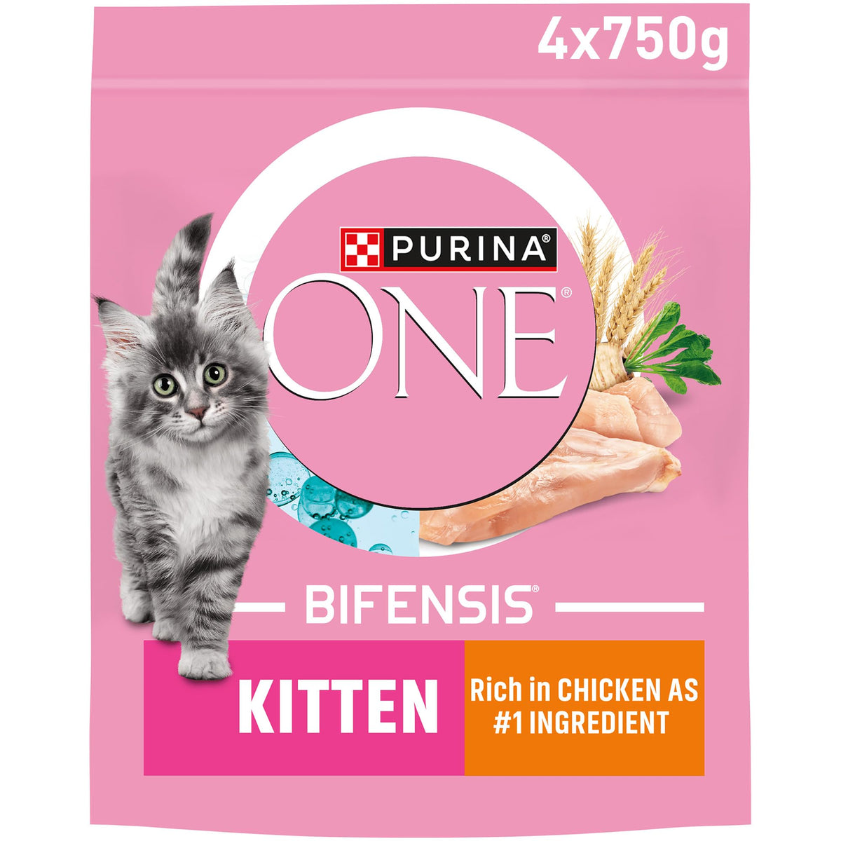 PURINA ONE BIFENSIS Dry Food for Adult Cats, Rich in Chicken, 1 Pack (1 x 5.7 kg)
