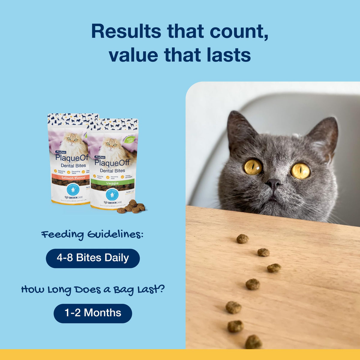 ProDen PlaqueOff 40g Dental Powder for Cats - 100% Natural, 4-Month Supply