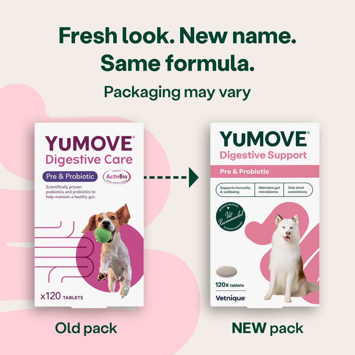 YuMOVE Digestive Care, Dog Pre and Probiotics Supplement for Gut Health, Digestive Support for All Ages and Breeds, 120 Tablets - Eco Friendly and Letter Box Ready Packaging