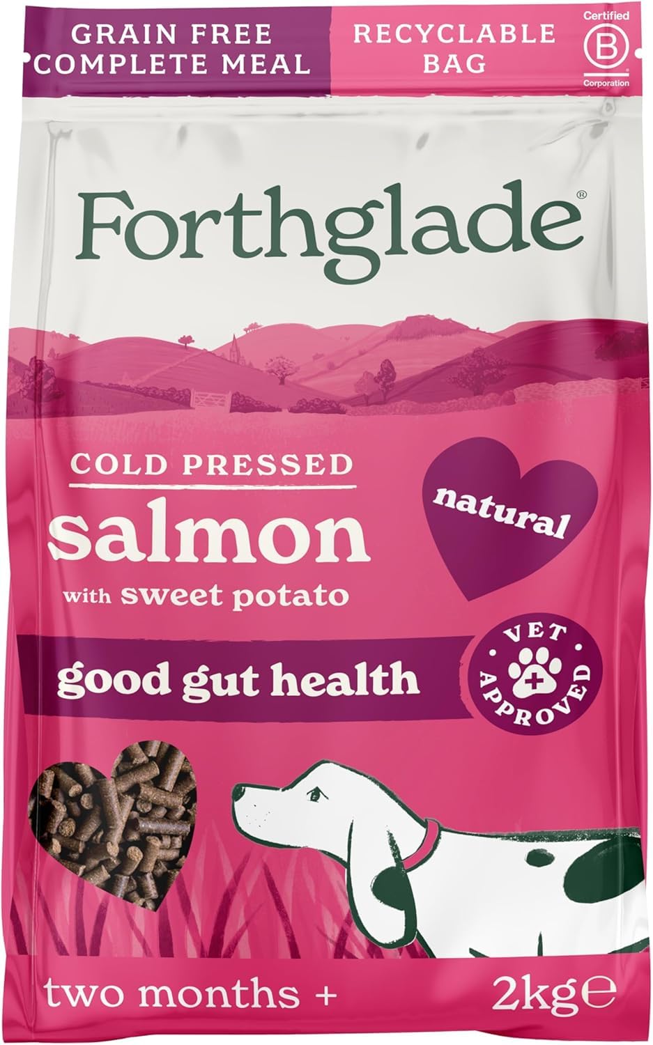 Forthglade Dry Dog Food, Cold Pressed (6kg), Hypoallergenic and Grain Free Dog Food, Salmon & Vegetables, Natural Senior, Adult and Puppy Meal Vet, Approved For Good Gut Health