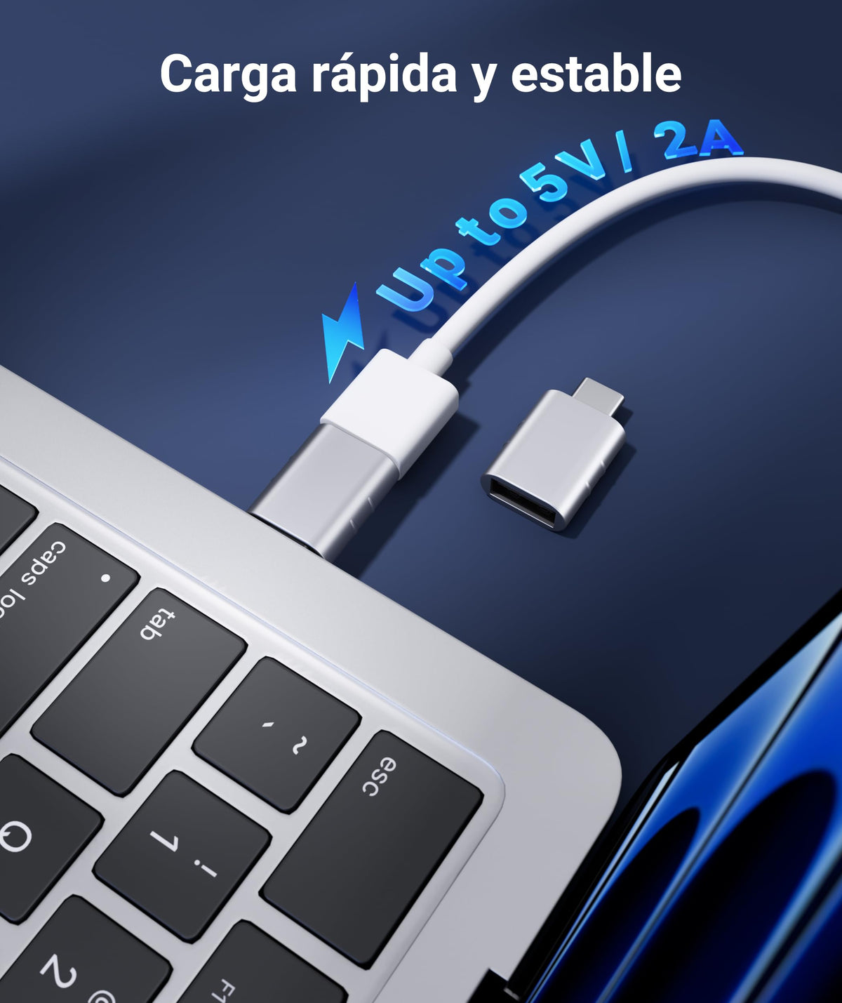 Syntech USB C to USB Adapter 2-Pack, Type C Male to USB 3.0 Female Adapter