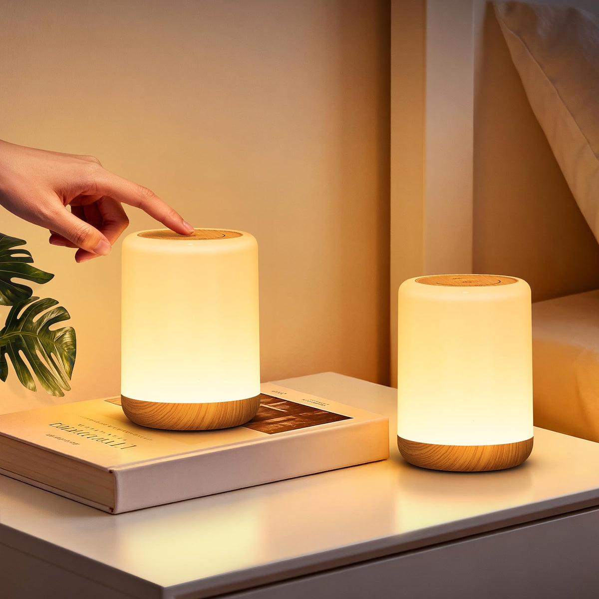 Night Light, Dimmable Touch Bedside Lamp with 256 RGB, Timer, Memory