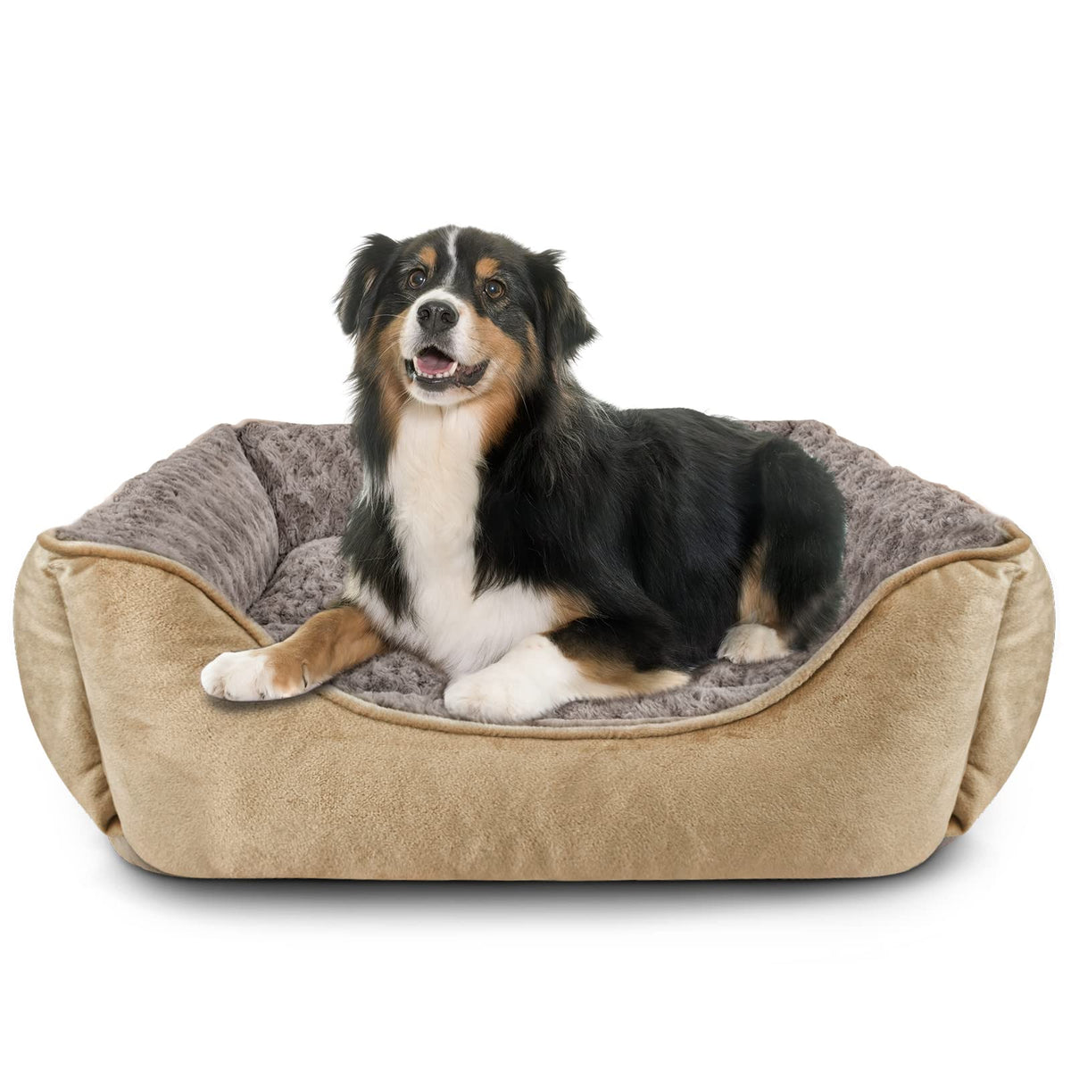 JOEJOY Dog Bed Medium - Washable Rectangle Dog Beds, Anti-Anxiety, Soft Plush Non-Slip Bottom Pet Bed - Small | Medium | Large Size Mattress Mat, Grey