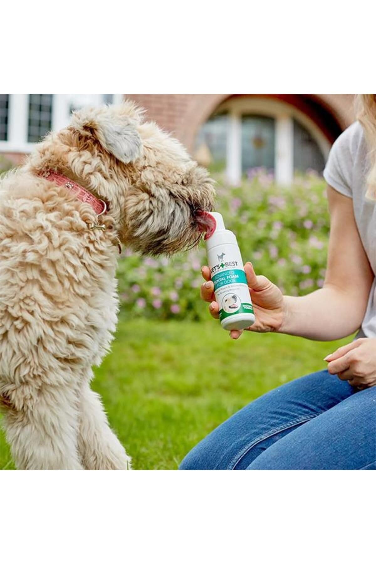 Vet's Best Dental Care Finger Wipes. 50 Disposable Wipes