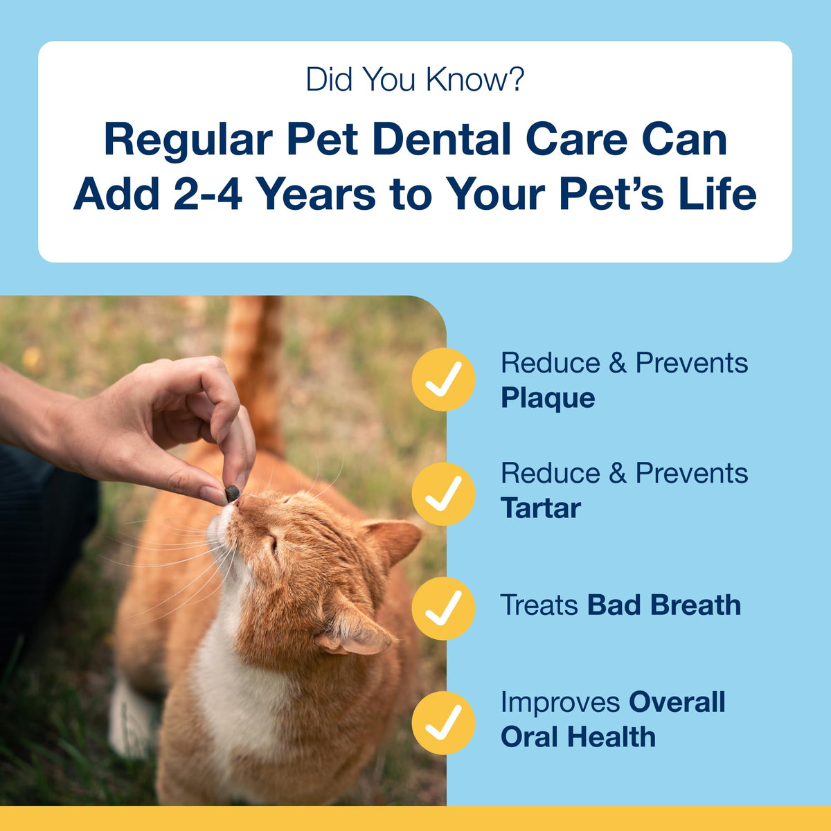 ProDen PlaqueOff 40g Dental Powder for Cats - 100% Natural, 4-Month Supply
