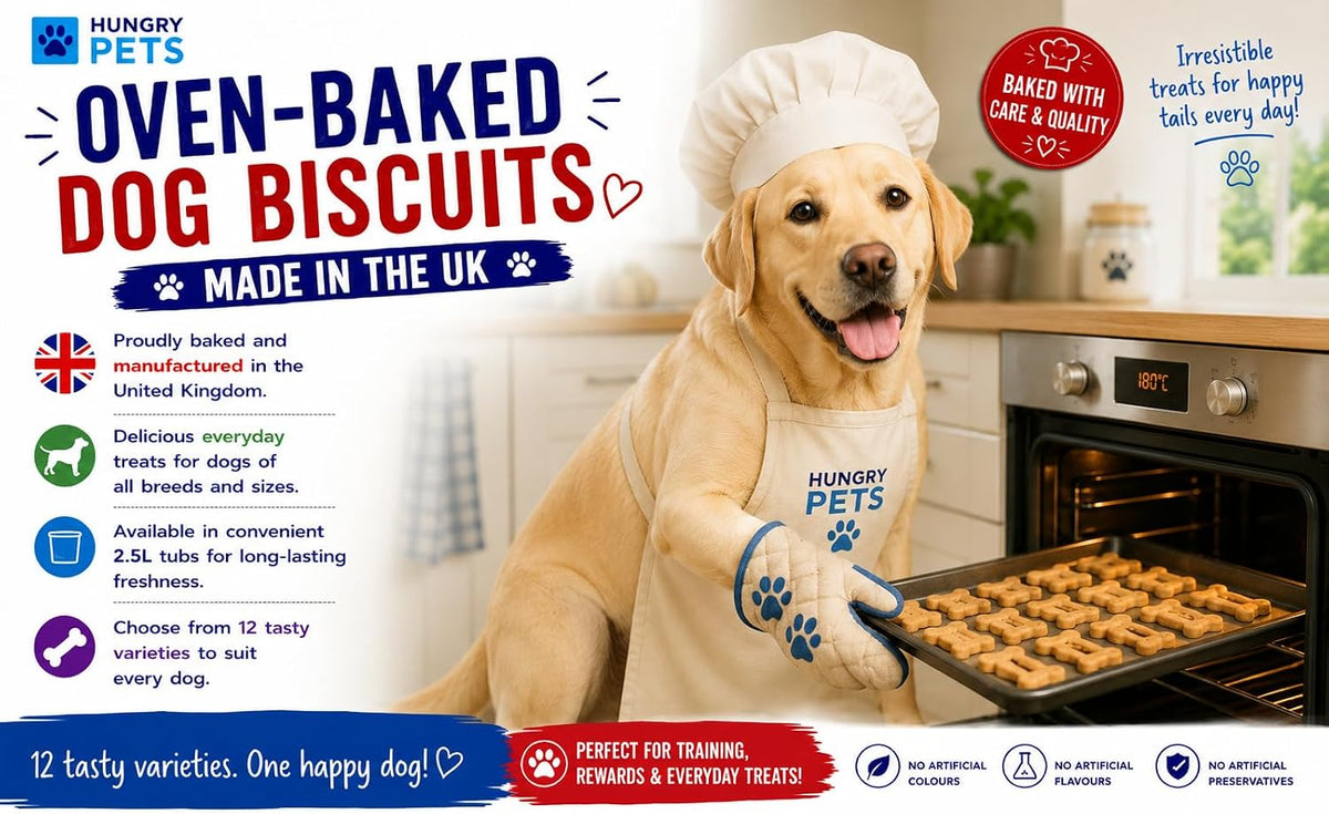 Dog Biscuit Treats 2.5L (Peanut Butter Bones)