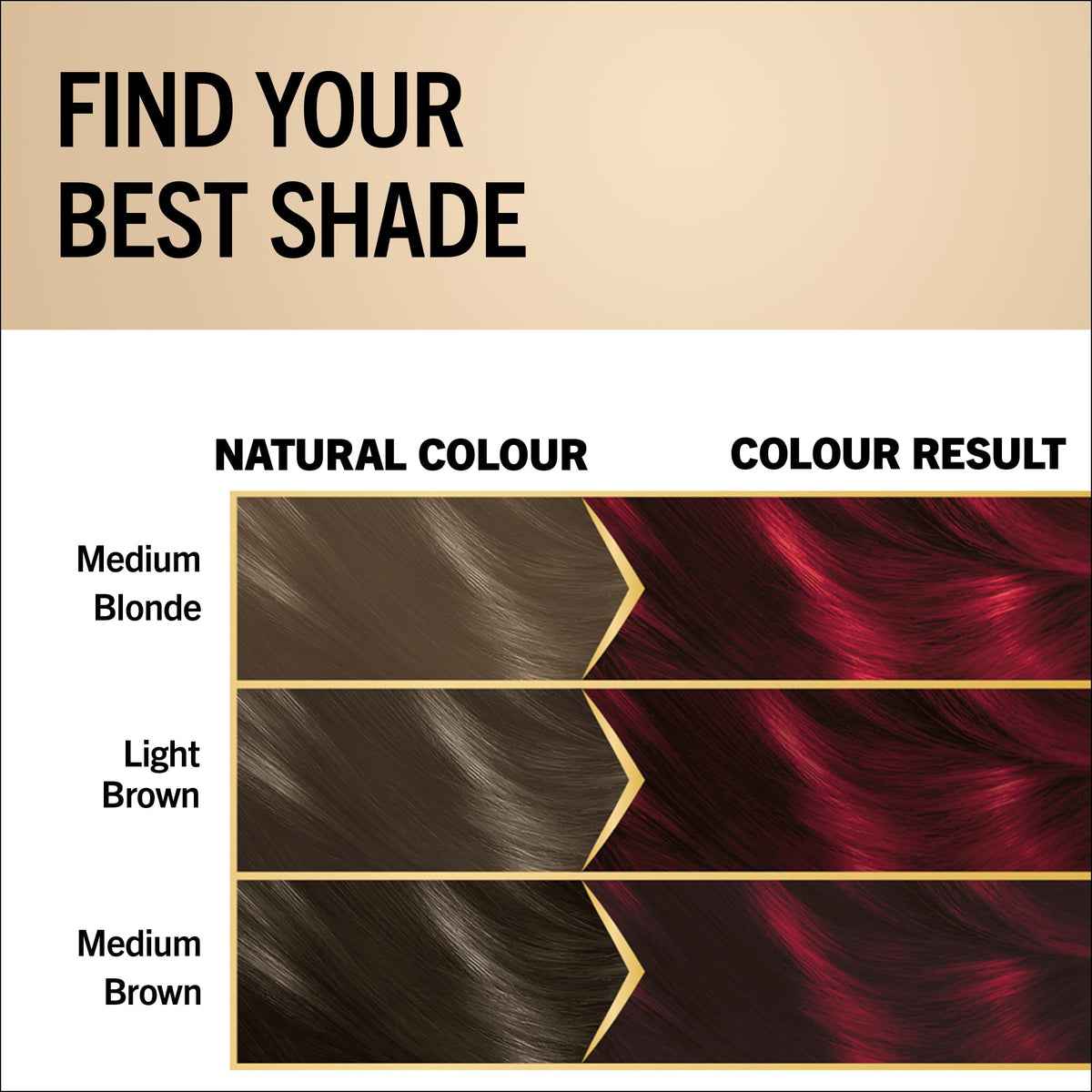 Schwarzkopf Oleo Intense Permanent Hair Colour 4-60 Gold Brown | Ammonia Free Oil Hair Dye | 100% Grey Coverage | Long-Lasting Rich Colour | With HaptIQ System & Caring Oil Mask (Pack of 2)