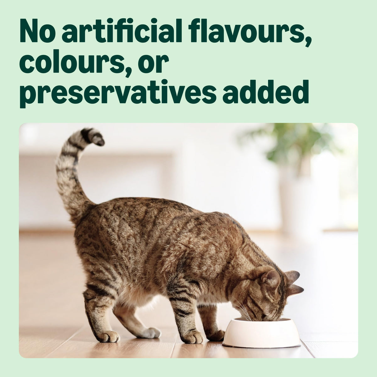 by Amazon - Complete Dry Cat Food with Salmon, Tuna and Vegetables, 2 pack of 3kg