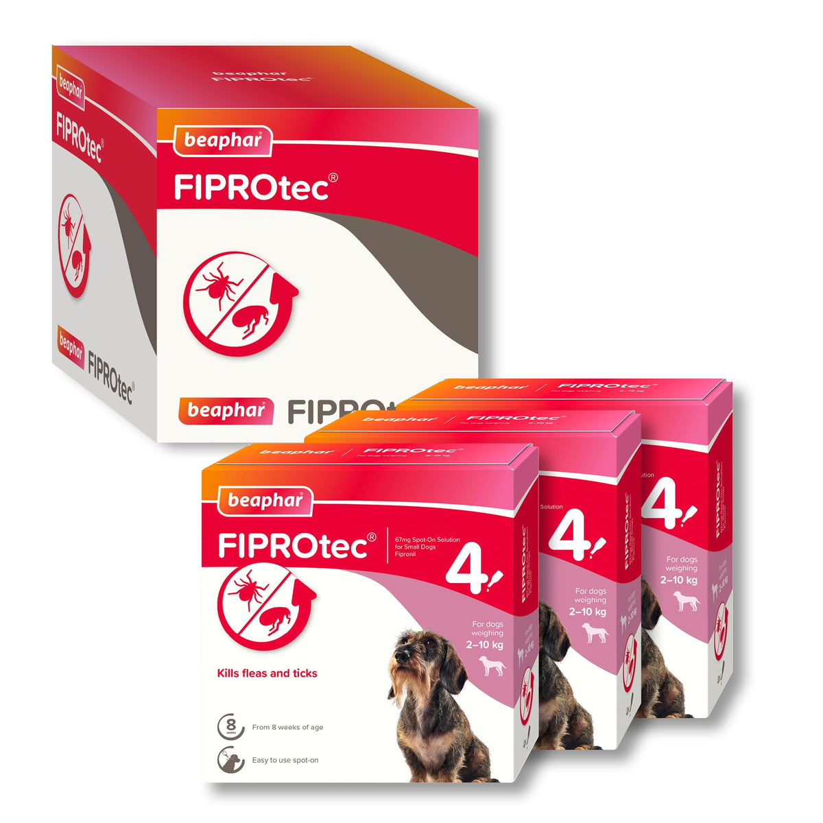 Beaphar - FIPROtec Spot-On Flea & Tick Treatment for Medium Dogs 10-20kg - 6 Pipettes - Kills Fleas & Ticks – Veterinary Medicine - Easy to Apply Monthly - Suitable for Dogs & Puppies from 8 Weeks