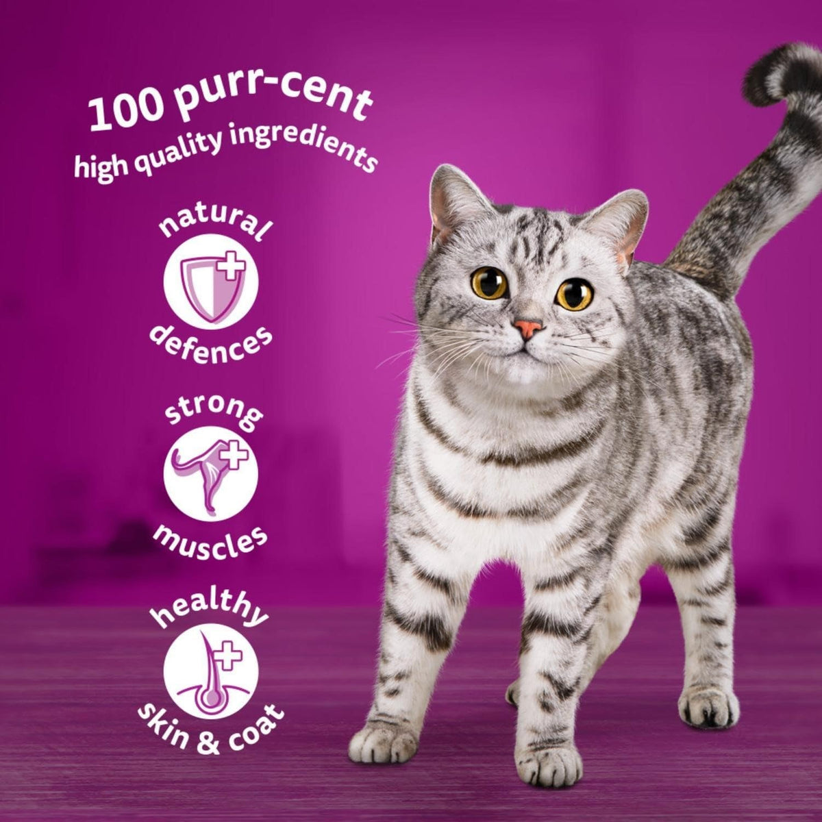 WHISKAS DUO Adult Wet Cat Food in Jelly 12x85g Surf & Turf (Pack of 4)