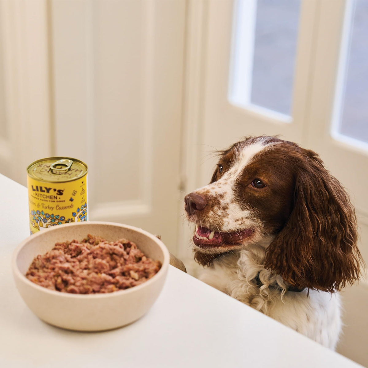 Lily's Kitchen Cottage Pie - Complete Adult Dog Wet Food (6 x 400g)