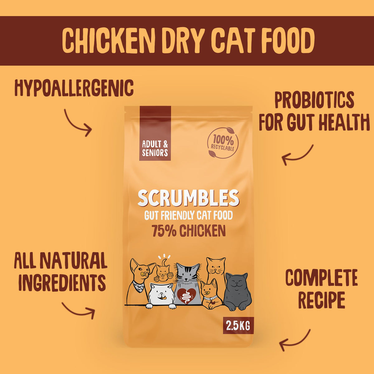 Scrumbles All Natural Dry Cat Food With Chicken and Fresh Salmon, High Protein Food for Adults And Seniors, 2.5 Kg,pink bag