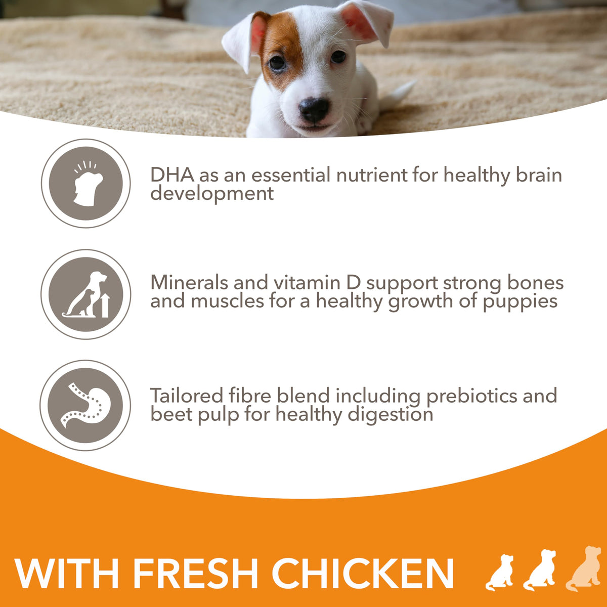 IAMS Puppy Small Medium Complete Dry Dog Food Chicken 3kg - For Healthy Growth