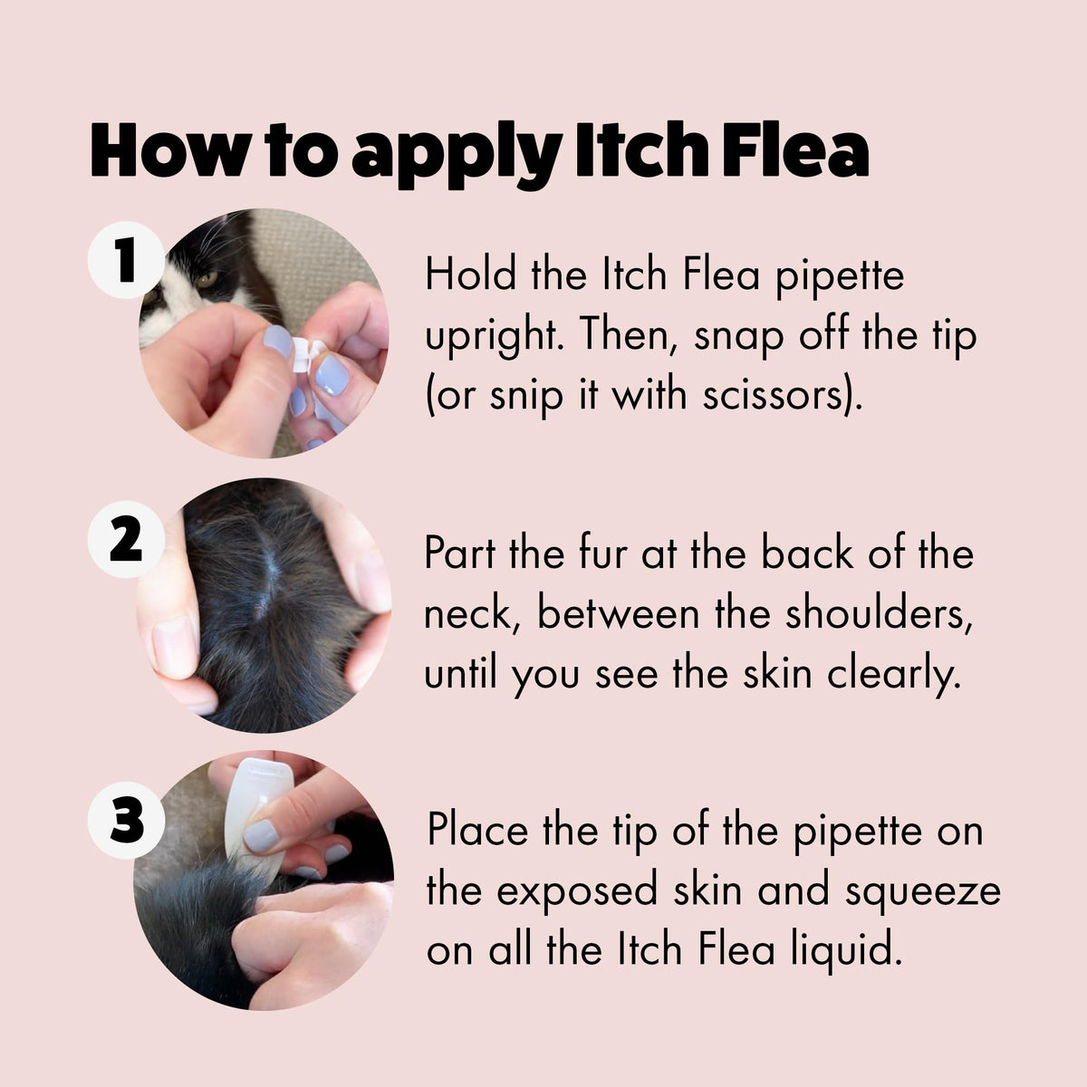 Itch - Flea & Tick Treatment for Cats & Household Flea Spray - Kills Fleas, Lice, Ticks, Eggs and Larvae - With Fipronil and S-Methoprene - Odourless 500ml Spray & Pack of 3 Pipettes