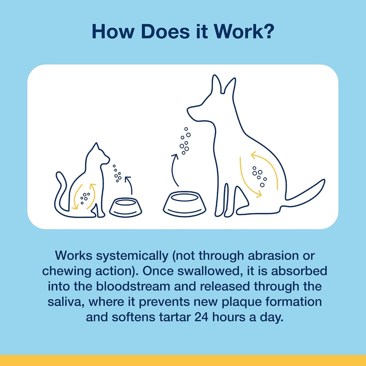 ProDen PlaqueOff 40g Dental Powder for Cats - 100% Natural, 4-Month Supply