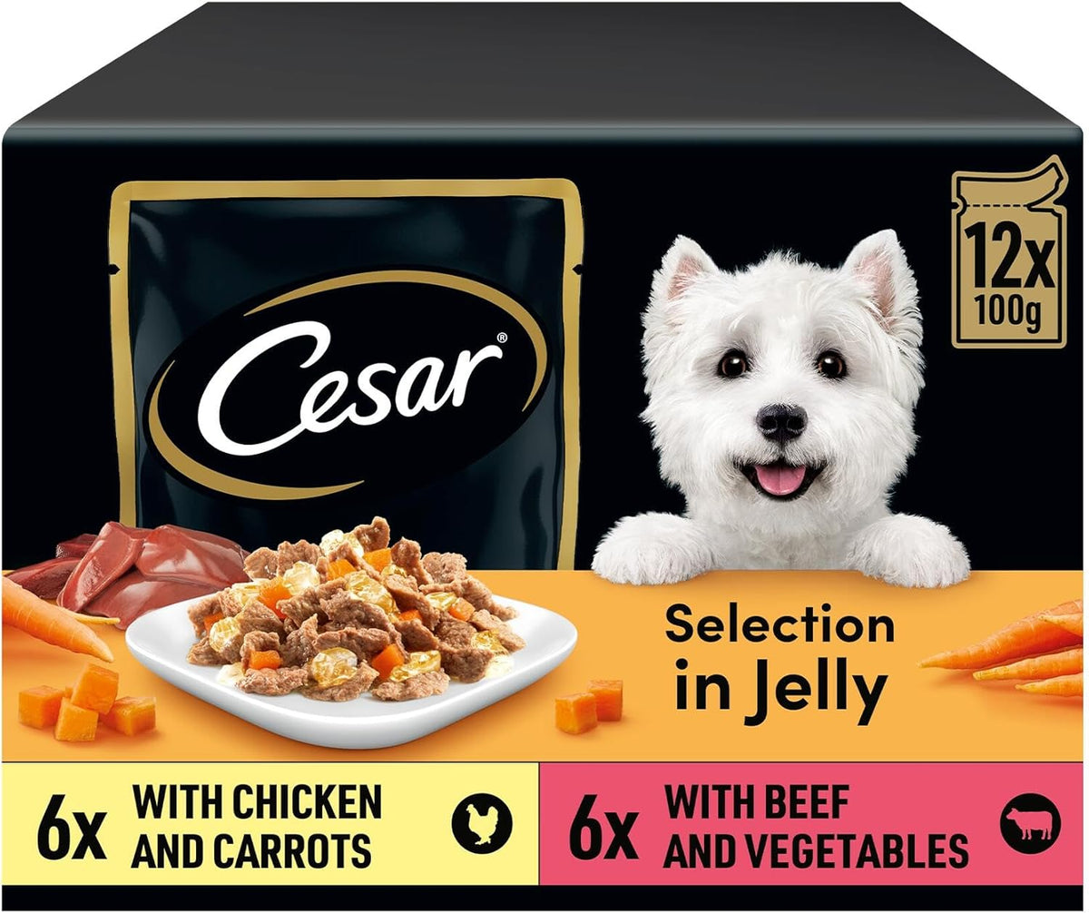 CESAR Pouch Selection in Jelly, Fresh Adult Wet Dog Food Pouches in Delicious Jelly with Succulent Meats and Vegetables, 48 x 100 g