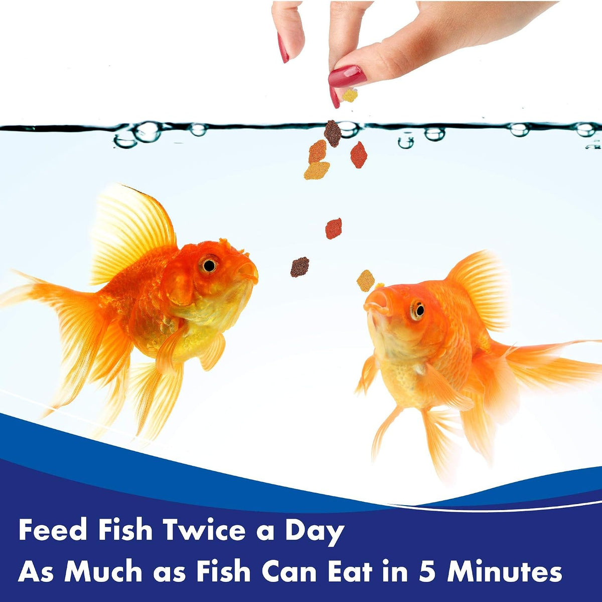 AQUARIAN Complete Nutrition, Aquarium Goldfish Food, Flakes Also Suitable for Small Pond Fish, 200g Container