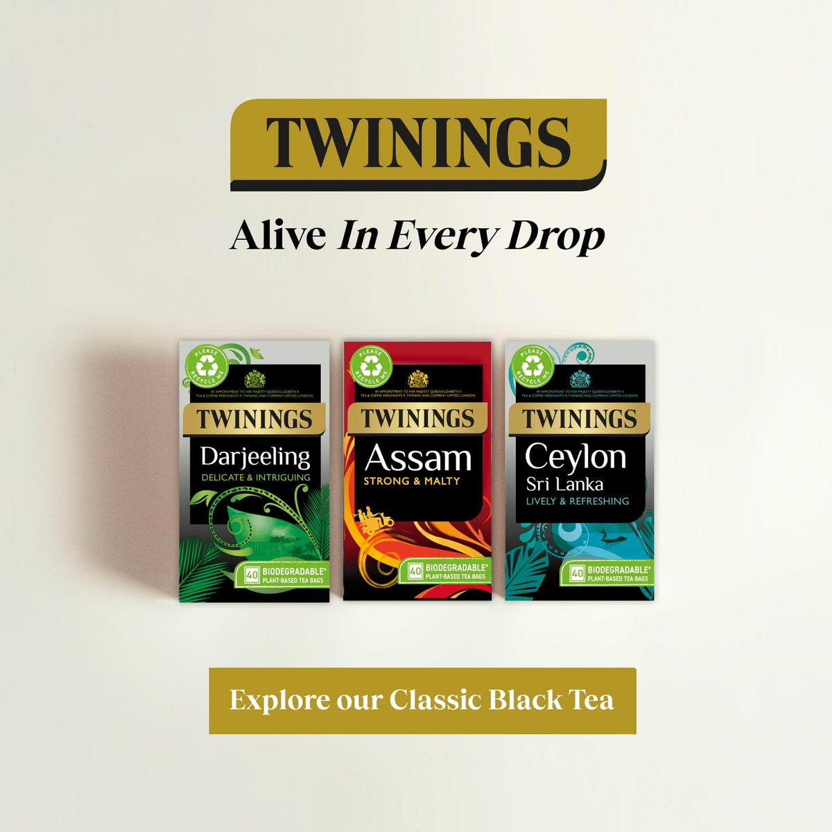 Twinings English Breakfast Tea, 4 x 80 Biodegradable Plant-Based Tea Bags