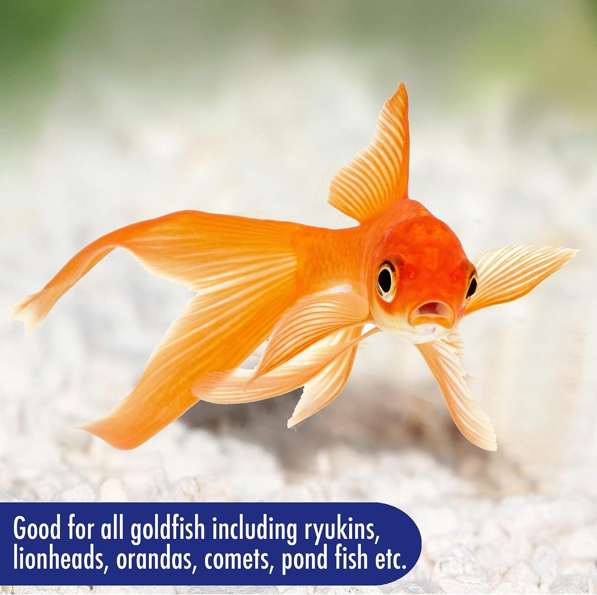 AQUARIAN Complete Nutrition, Aquarium Goldfish Food, Flakes Also Suitable for Small Pond Fish, 200g Container