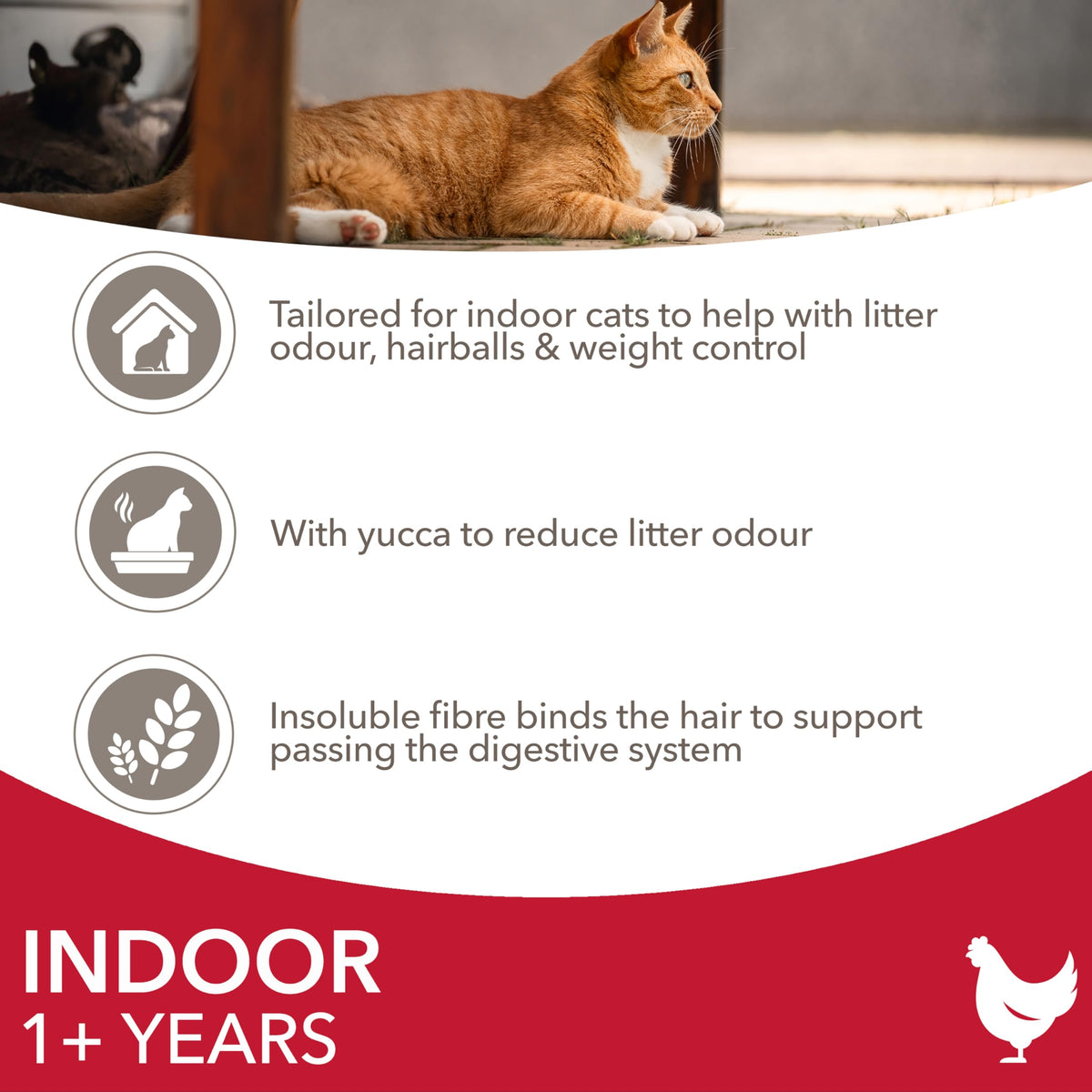 IAMS Indoor Complete Dry Cat Food Chicken 3kg - Litter Odour Control, Hairballs & Weight Management