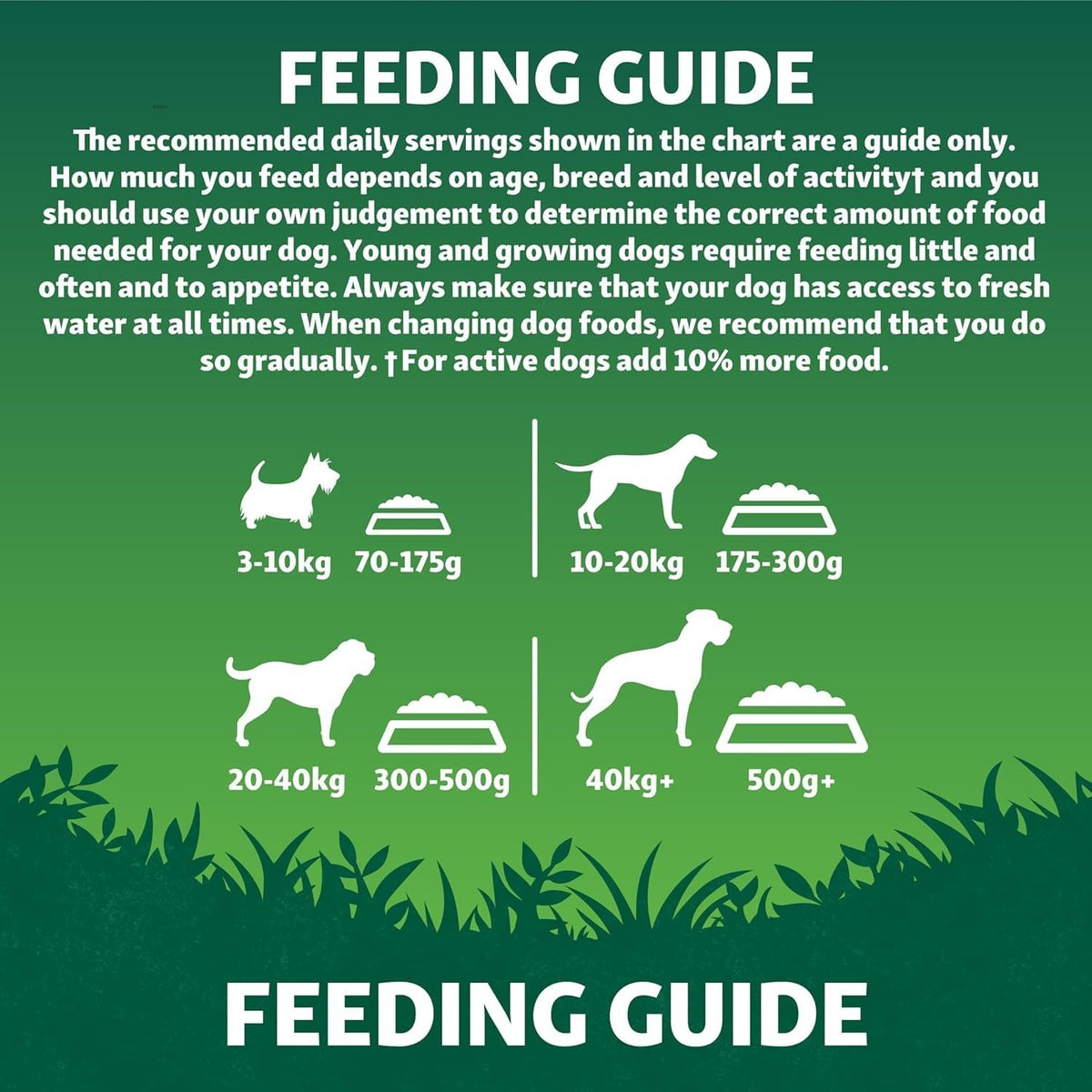 Harringtons Superfoods Complete Grain Free Dry Adult Dog Food Salmon with Veg 12kg - Made with All Natural Ingredients (Packaging may vary)