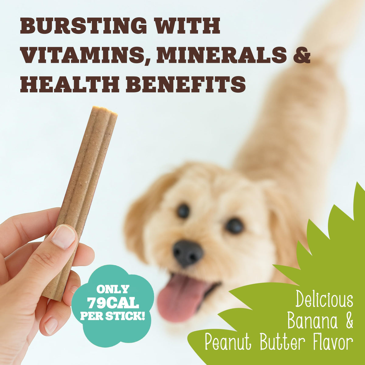 Soopa Carrot & Pumpkin Dog Dental Sticks, Chews to Clean Teeth, 100 g, 1-Pk