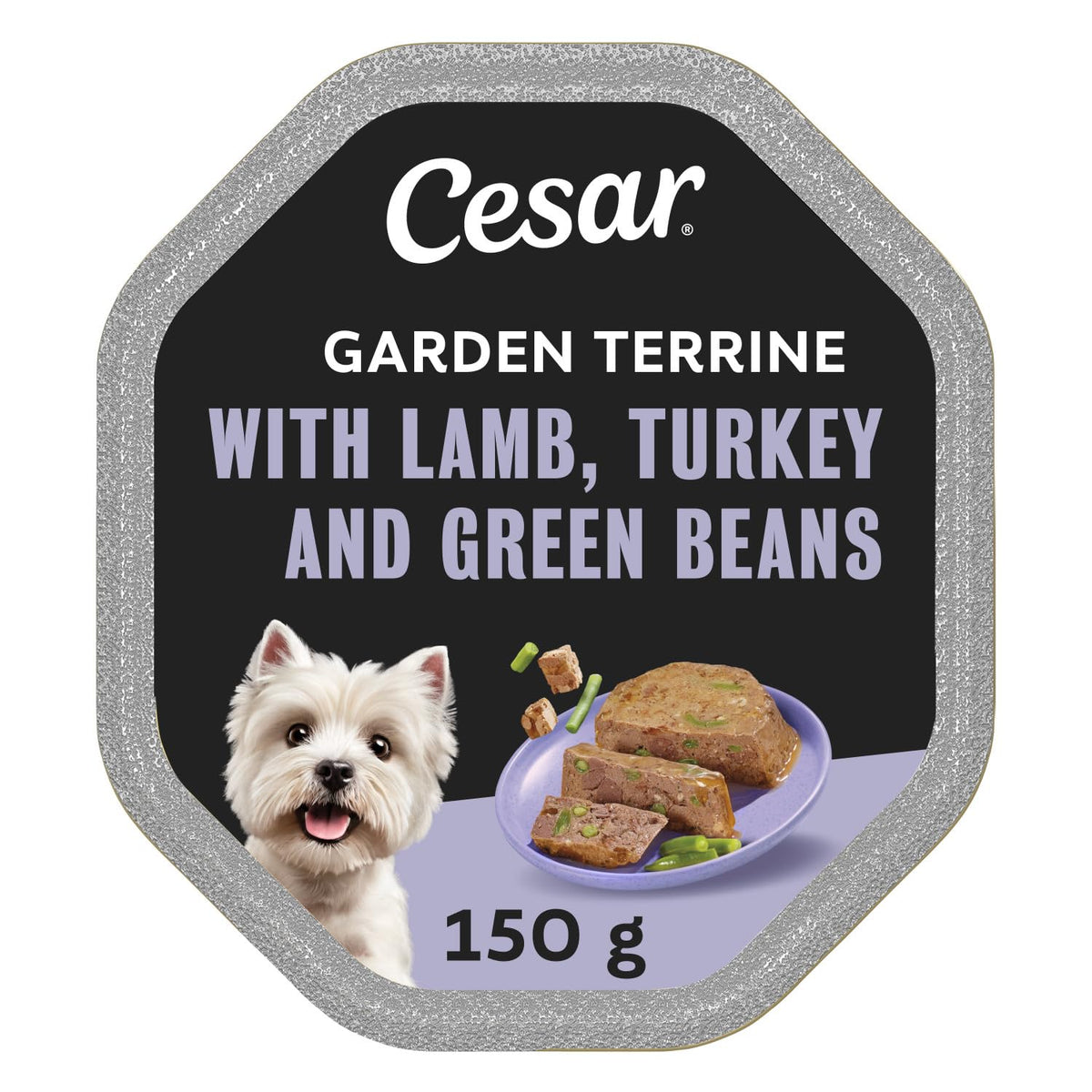 CESAR Pouch Selection in Jelly, Fresh Adult Wet Dog Food Pouches in Delicious Jelly with Succulent Meats and Vegetables, 48 x 100 g