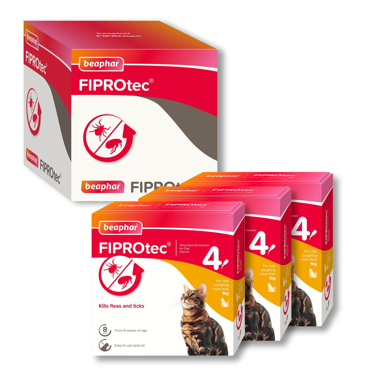 Beaphar - FIPROtec Spot-On Flea & Tick Treatment for Cats - 6 Pipettes - Kills Fleas & Ticks - Veterinary Medicine – Easy to Apply Monthly - For Cats & Kittens from 8 Weeks Old, Weighing Over 1kg